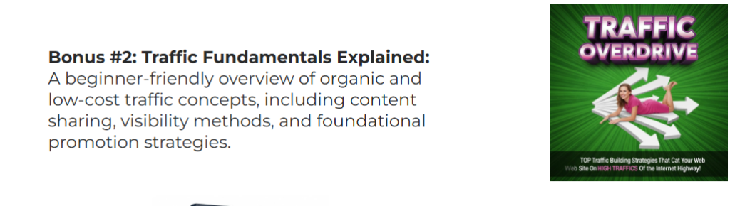 One Dollar Organic Traffic