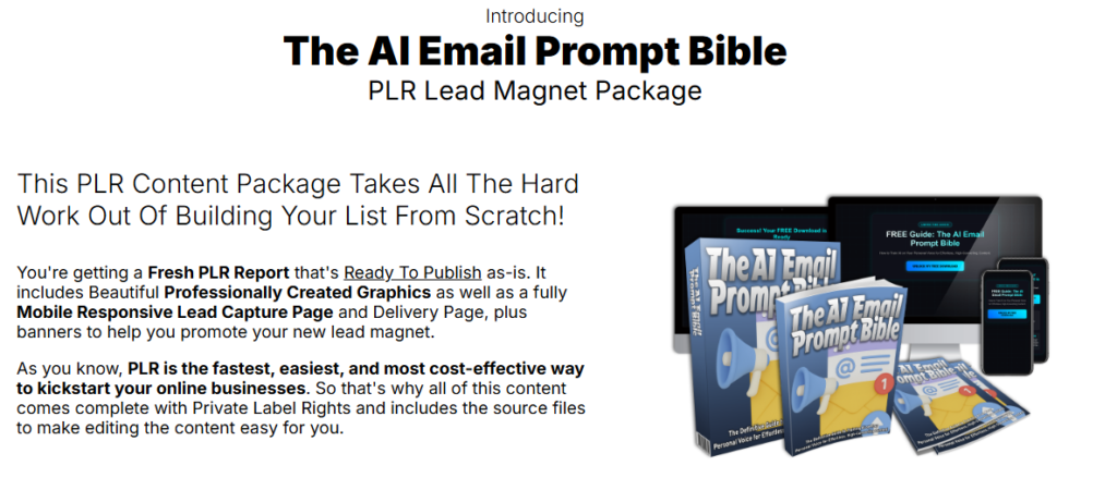 The AI Email Prompt Bible PLR